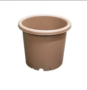 �Z�b�g���� 20 �Z�b�g AZ�x�W�|�b�g 9���@�u���E�� ��300��x��255(H) ���S���� ���@�l�l���蔭���i