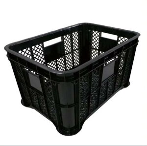 Zbg 6 Zbg ̏WReiijbV 520()365(c)305() S @ll蔭i