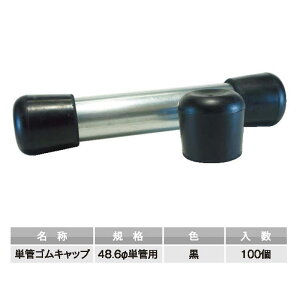 PǃSLbv 48.6ӗp 100 AR-0141 AI 