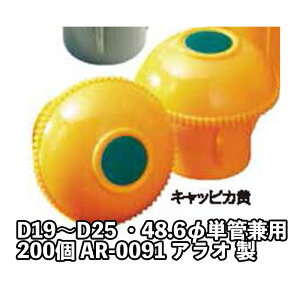 LbsJ  D19`D25 48.6ӒPǌp 200 AR-0091 AI 