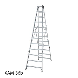 ���J��H��(Hasegawa) XAM ���ڋr�� XAM-36b �V����3.49m ����18.5kg �r�� �͂��� ���@�l�l���蔭�����i