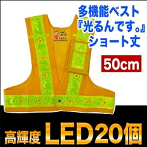 LEDxXgwł!xV[g50cmቩ/