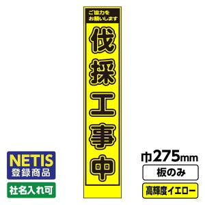 yzNetiso^i HŔ Xu̍Hv vYPx CG[ F u ̂݁igj