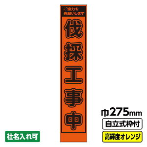 yzHŔu̍Hv X vYPx IW 19pgt