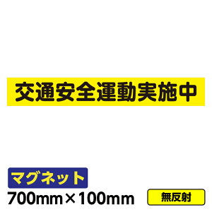 y2ȏőz̓}OlbguʈS^{()v700×100mm ԗ ʈS wZ  ٕ