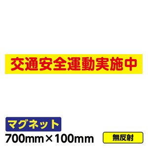 y2ȏőz̓}OlbguʈS^{()v700×100mm ԗ ʈS wZ  ٕ