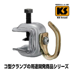  Zbg KSR^Nv 6H^ Œ莮 100{   PǃpCv