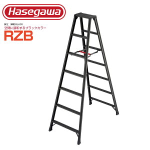 ry r ubN 7 JH nZK Hasegawa r  r  nZK pr ryubN RZB-21B y@lEƏzy[J[îߑsz 