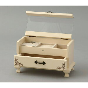 ���^�I���S�[���t���W���G���P�[�X �A�C�{���[ �{���h�[