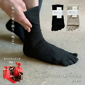 5{w\bNX Y ߕtȂ C 5{wC    SȂ̂悤 邢 ێ   _炩  q  ₦  am j Mtg bsO {