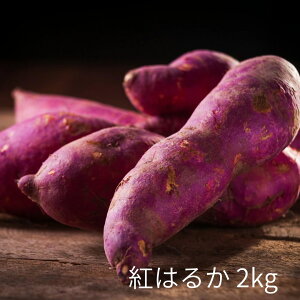Ă hV̓v[g 2025 g͂邩 lq܂ŖɂȂ ܂ Ă g͂邩 2kg p hV̓ v[g Mtg  XC[c a َq p j@