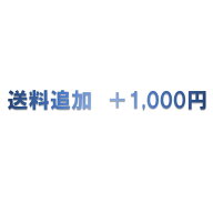 個人宅配送ご希望のお客様用　送料追加 +1,000円