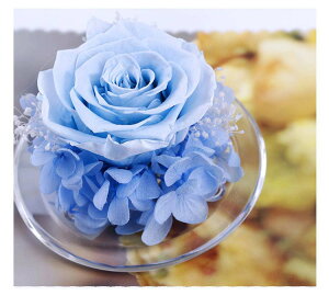  vU[uht[ ỉ i ͂Ȃ o Mtg KN [Y J[l[V v[g KX|bg hCt[ {bNXt Ǝ ̓ l l a