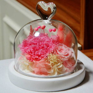 送料無料 プリザーブドフラワー カーネーション 永遠の花 永生花 枯れない花 ギフト プレゼント ガラスポット ドライフラワー ボックス付 LEDライト付 卒業式 母の日 成人式 成人 誕生日 結