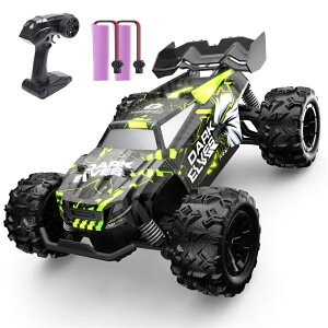 ���W�R�� ���W�R���J�[ �I�t���[�h �q������ DEERC 1/20 �d��RC�J�[ �S�n�`�Ή� 2.4GHz �����R���J�[ �Ɨ����� �Ԃ������� �j�̎q �N���X�}�X �v���[���g