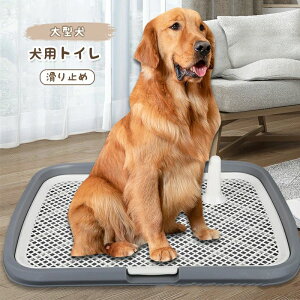 pgC ybggC ^ ybg bV gC pgCg[ ~ ybgpi gC 65cm×50cm ̃gC g[jO ȒP R pgC{bNX 