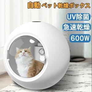 ybg{bNX ybg hC{[ hC[ 600W 50L e  L ^p C ^C}[@\  UVu[Cg @\ }CiXCI ᑛ P } 