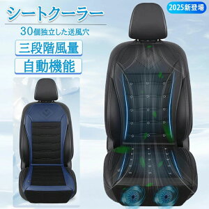 �y2026�N�V�^�z�� �V�[�g�N�[���[ �N�[���V�[�g �ԗp USB���d �O�i�K���ʒ��߃������[�@�\ �����@�\ ���K����񌳂܂ŏ���Ȃ� �A�C�X�V���N�f�� �n�j�J���\�� �h���C�u �ʋ� ���s �^�]�� DC12