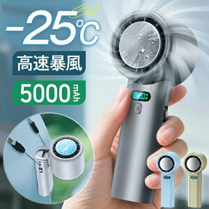 5000mAh��e�ʁy2 780�~?�撅100���z �n���f�B�t�@�� ��p�v���[�g -25����p �g�ѐ�@ 100�i�K���� �����\�� �n���f�B��@ ��|��