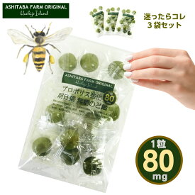 【2セット購入でもう1袋】濃縮プロポリス80mg配合　プロポリス強化 のど飴 明日葉のど飴 16粒入x3袋セット カルシウム入り 送料無料 喉飴 ノンシュガー キャンディー 免疫UP コロナ対策 のどの痛みに 風邪 インフルエンザ 咳 喘息