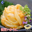 割烹いかうに 500g　ウニ 雲丹 イカ ウニ和え 珍味 つまみ おつまみ 日本酒