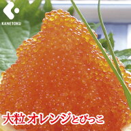大粒 オレンジとびっこ 500g とびうおの卵 とびっ子 とびこ トビラン 魚卵 珍味 手巻き寿司 ちらし寿司 …