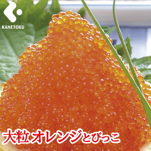 嗱 IWƂт 500g Ƃт̗ Ƃтq Ƃт gr   芪i 炵i i ЂȂ܂ ЂȍՂ Ղ