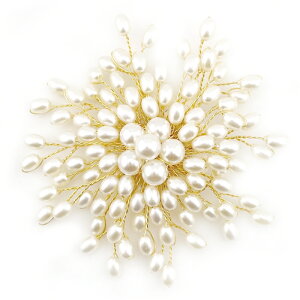 iƍɂRT[W u[` ᗎh~u[`Xgbp[ENbvtyALA p[ RT[WEhEI[ozƎ  w   