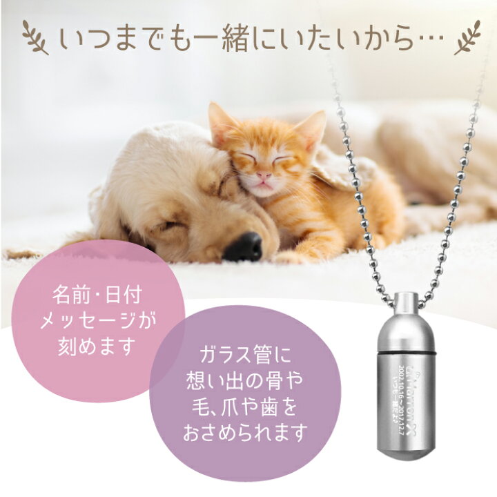 楽天市場】【楽天1位】遺骨ペンダント【ASHIPET ペットロスカプセル Sサイズ ガラス管入り】名入れ 3行刻印 フォトメモリアルボックス 巾着付 手元供養7点セット ピンセット付 ペット 仏具 遺骨カプセル 遺骨アクセサリー 遺骨ネックレス 犬 猫 遺毛 分骨 ペット 遺骨入れ ... 楽天市場】【楽天1位】遺骨ペンダント【ASHIPET ペットロスカプセル Sサイズ ガラス管入り】名入れ 3行刻印 フォトメモリアルボックス 巾着付 手元供養7点セット ピンセット付 ペット 仏具 遺骨カプセル 遺骨アクセサリー 遺骨ネックレス 犬 猫 遺毛 分骨 ペット 遺骨入れ ...