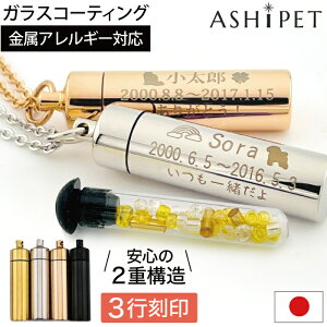 yBLACK FRIDAY聚|Cg3{!!!zyAM[ Ήz⍜y_g  3s XeX KXǓ OOtyid̐Ki^ASHIPETKXzybg ⍜JvZ S4F