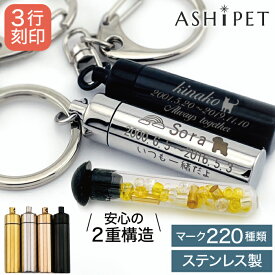 遺骨 キーホルダー 名入れ 3行刻印 ステンレス ガラス管入り Oリング付【ASHIPET正規店 選べる 遺骨キーホルダー 全4色 巾着付 手元供養 6点セット】ペット 遺骨 キーホルダー 遺骨カプセル 犬 遺骨アクセサリー ペット 遺骨入れ 骨 分骨 骨壺 仏具 名入れ 二重構造 安心 猫