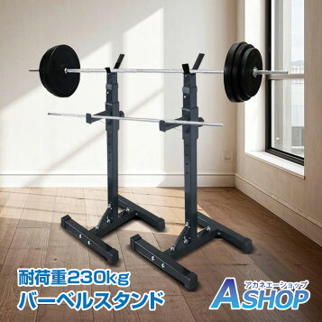 楽天市場】WILD FIT(ワイルドフィット) プレートラック送料無料 収納 