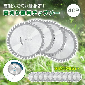 11/4`5OFFN[|y10z `bv\[ 10 Zbg @ @  ւn ֐n @̐n 40P 40T 40n 40 n 蕥@ @  a15cm 1mm x X`[ 