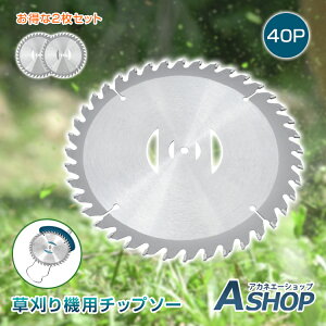 yz `bv\[ 2 Zbg @ @  ւn ֐n @̐n 40P 40T 40n 40 n 蕥@ @  a15cm 1mm x X`[ ϋv ؂ꖡQ 