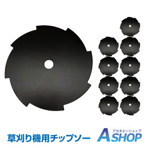 10N[|ΏہyzDIY `bv\[ 10Zbg 8n Oa25.5cm a:2.54cm \ @p Ŋ ֐n nڂ C  y  K[fjO | ƒ؉  K[