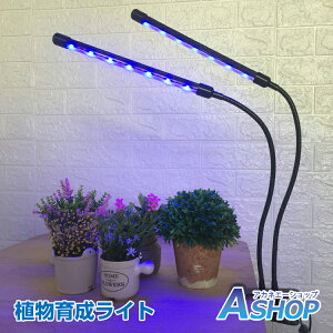 y9/18`10OFFzyzDIY A琬Cg LED ƕs ͔| Lbg A[R k͔| v ͔| K[f  Hsv USB[d ȃGl ^C}[t ȒP 