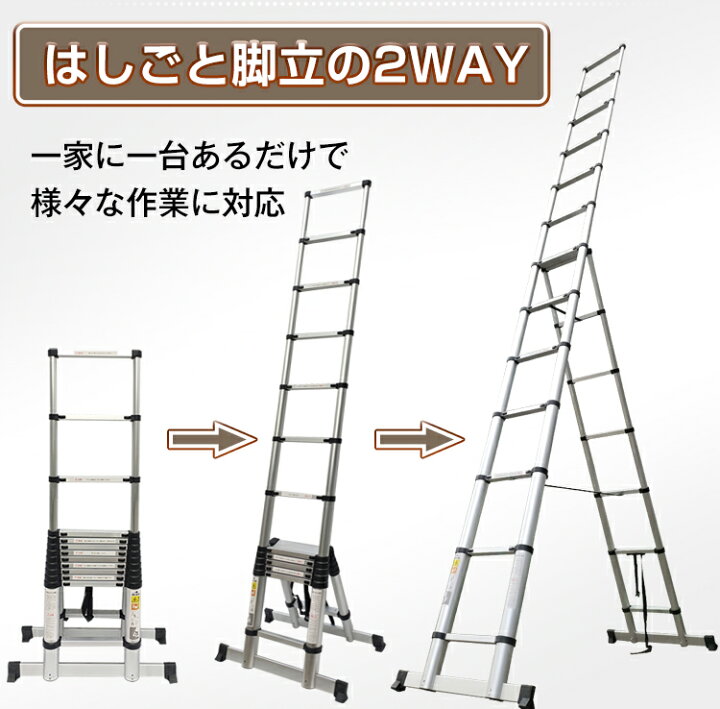 楽天市場】【期間・数量限定クーポン】 【今月限定セール】【送料無料 