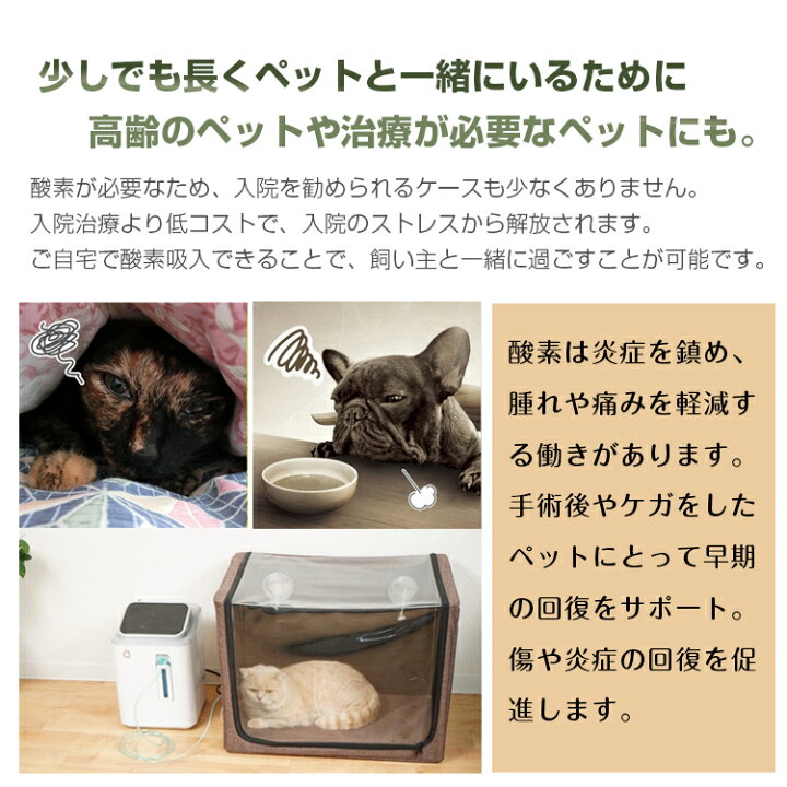 楽天市場】【送料無料】家庭用 酸素発生器 酸素濃縮器 酸素吸入器 