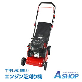 ＼4/27(土)9:59迄クーポンで10%OFF／【送料無料】 草刈り機 芝刈り機 刈払い機 手押し式 エンジン 草刈機 芝刈機 刈払機 6馬力 刈幅410mm 刈高25-55mm 軽量 小型 家庭用 伐採 剪定 庭 ガーデニング 家庭菜園 畑 芝生 お手入れ 草刈り 雑草 除草 安全設計 ny538