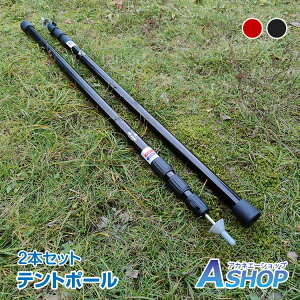 5OFFN[|yz eg|[ 3iKLk 2{Zbg 94cm`231cm iK  XChLk [܂ AEghA od534