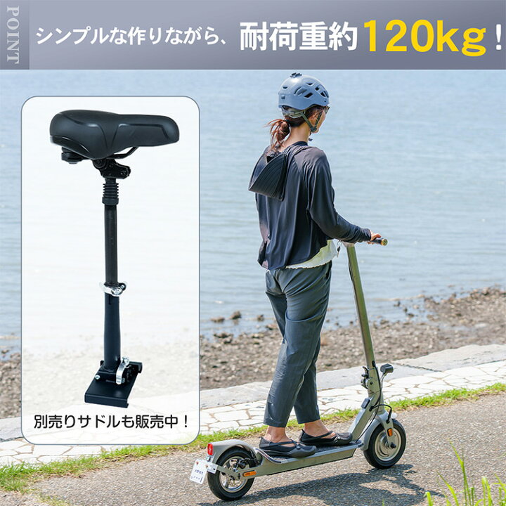 楽天市場】【期間・数量限定クーポン】 ＼ランキング1位獲得／【送料 