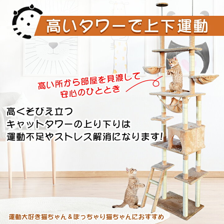 豪華 予約 キャットタワー 突っ張り型 大型 麻 260cm 猫タワー おしゃれ アスレチック 爪とぎ 猫グッズ 遊び場 Shipsctc Org