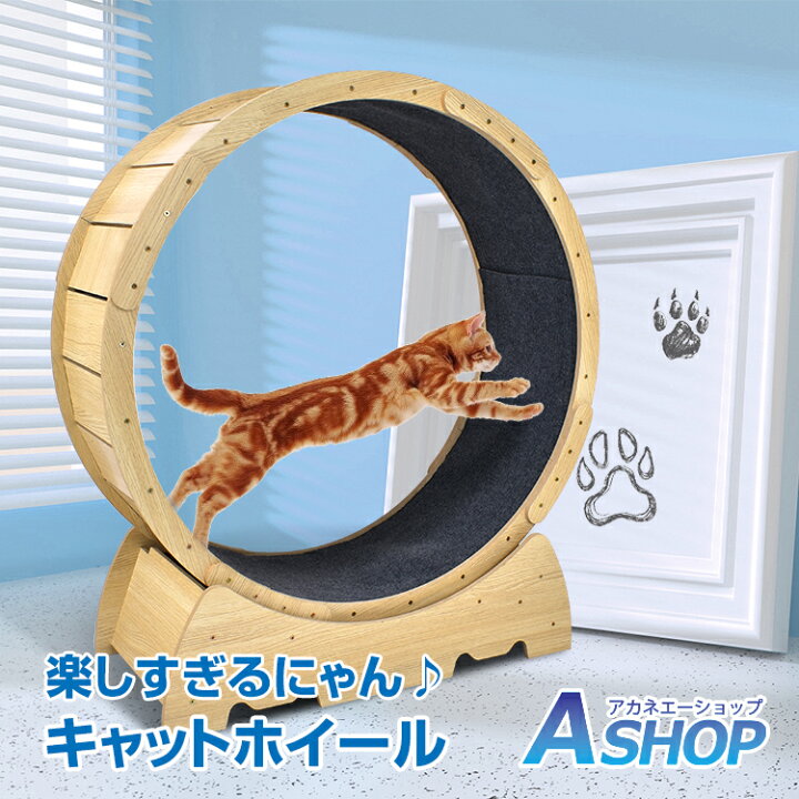 楽天市場】【期間・数量限定クーポン】 【送料無料】キャットホイール 