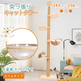 「9/15限定全品クーポン！」 【送料無料】 キャットタワー 木製 突っ張り スリム オールシーズン素材 宇宙船ボウル キャットツリー 猫タワー 省スペース 爪とぎ 木登り コンパクト 猫ツリー おしゃれ かわいい pt074