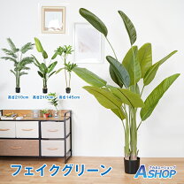 楽天市場】フェイクグリーン 大型（種類（植物）アレカヤシ）（花 