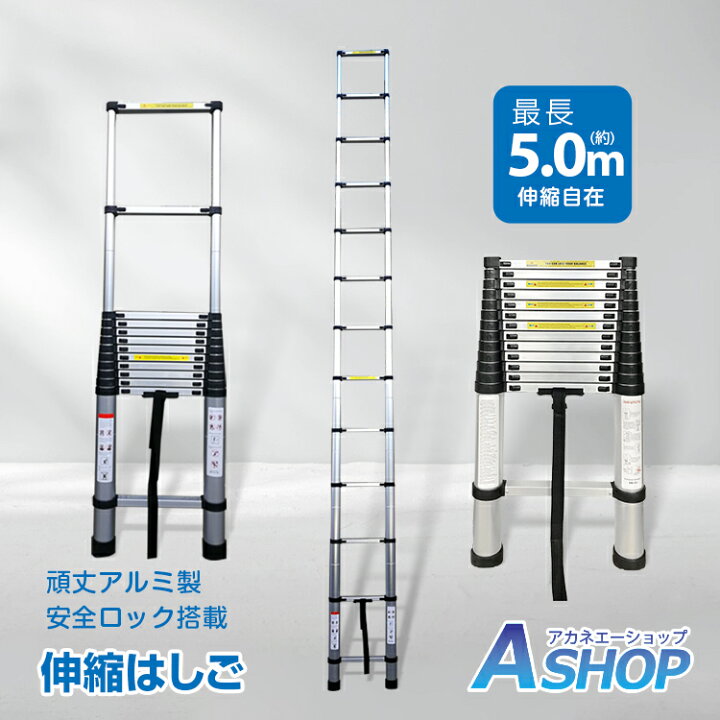 楽天市場】☆先着限定！最大10%OFFcp☆【送料無料】DIY はしご 伸縮 5m 