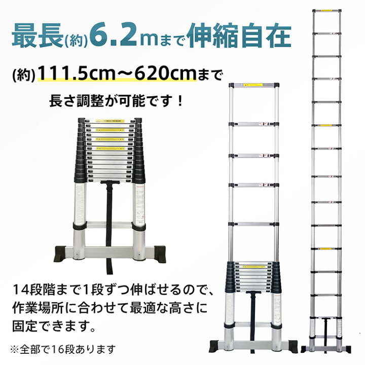 楽天市場】【期間・数量限定クーポン】 【今月限定セール】【送料無料 