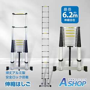 8/27`10OFFN[|yzA~͂ ͂ Lk 6.2m nVS q A~ ܂肽 RpNg 6m y  X[p[_[   14iK XCh 111.5cm [ ^ 