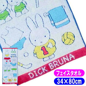 ~btB[X|[c tFCX^I ~btB[ LN^[^I  34×80cm 12377