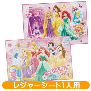 vZX W[V[g fBYj[ LN^[ 1lp VS1 XP[^[ V[g  sNjbN AEghA